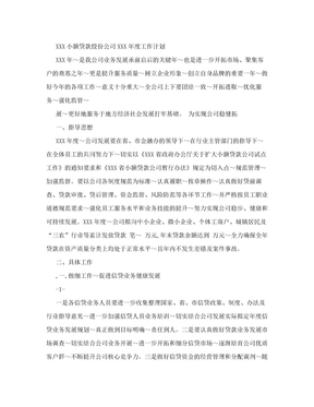 XXX小额贷款股份公司XXX年度工作计划