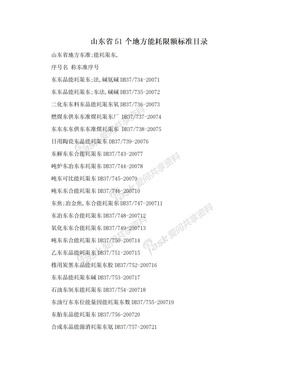 山东省51个地方能耗限额标准目录