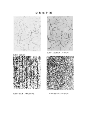 金相组织图1