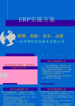 ERP实施方案案例