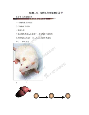 细胞工程 动物组织和细胞的培养