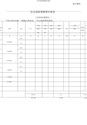 社会保险费缴费申报表