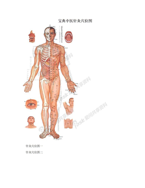 宝典中医针灸穴位图
