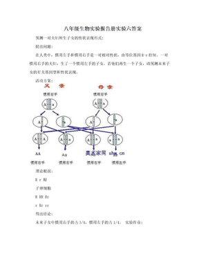 八年级生物实验报告册实验六答案