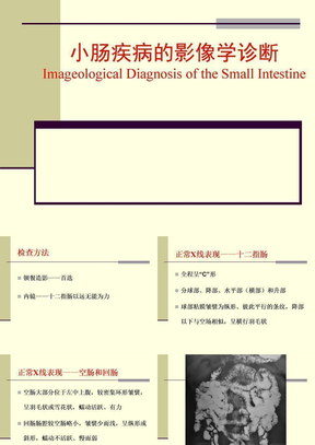 小肠疾病影像学诊断