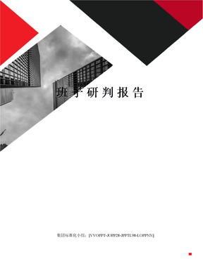 班子研判报告