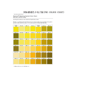 国际潘通色卡电子版(PMS COLOUR CHART)