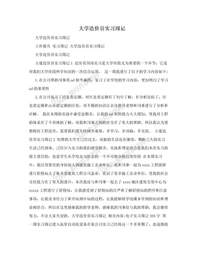 大学造价员实习周记