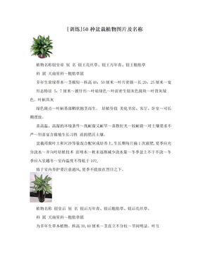 [训练]50种盆栽植物图片及名称