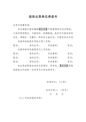 报告出具单位承诺书