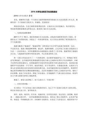 2016大学生法院实习生自我鉴定