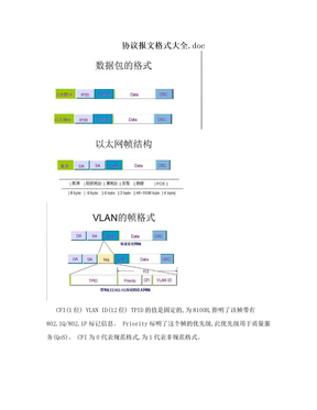 协议报文格式大全.doc