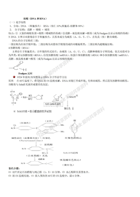 核酸组织化学