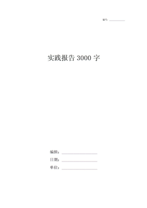 实践报告3000字