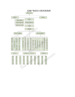 房地产集团公司组织架构图