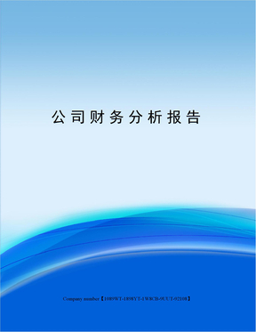 公司财务分析报告