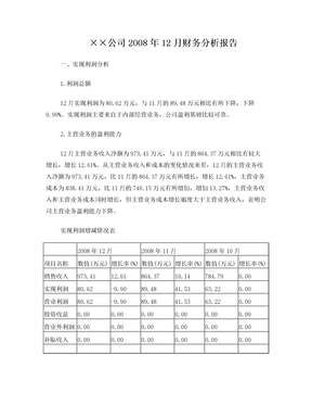 公司财务分析报告