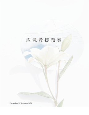 应急救援预案