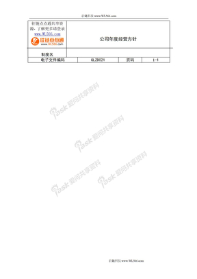 公司年度经营方针