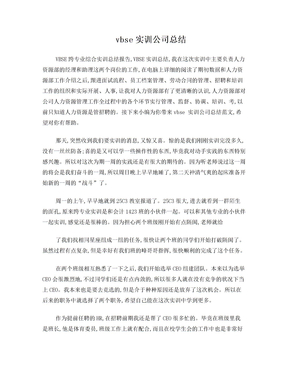 vbse实训公司总结