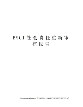 BSCI社会责任重新审核报告