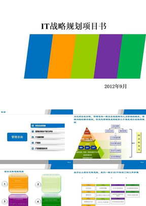 IT战略规划项目书