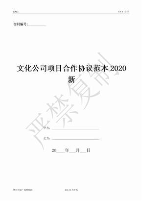 文化公司项目合作协议范本2020新-(优质文档)