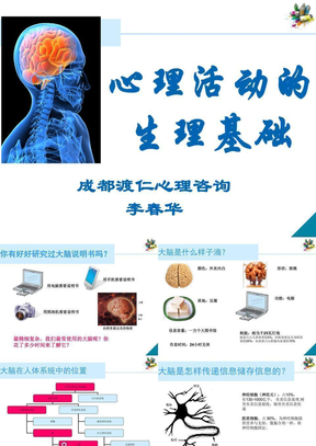 心理咨询师三级——心理活动的生理基础