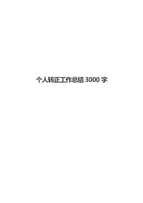 个人转正工作总结3000字