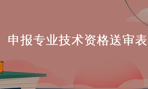 申报专业技术资格送审表