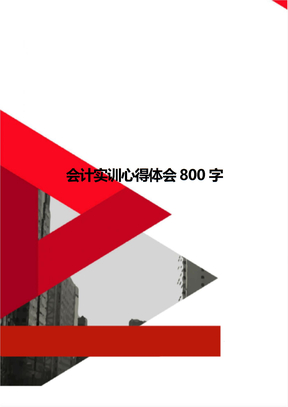 会计实训心得体会800字