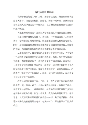 电厂师徒培训总结