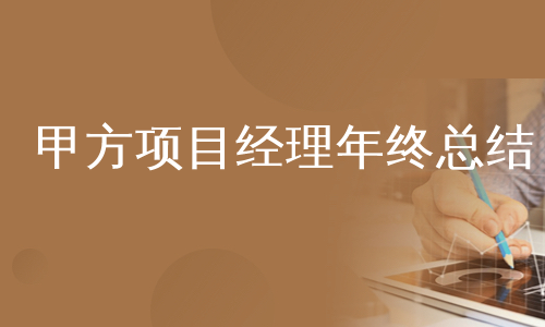 甲方项目经理年终总结