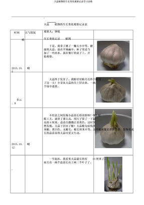 大蒜植物的生长变化观察记录学习表格