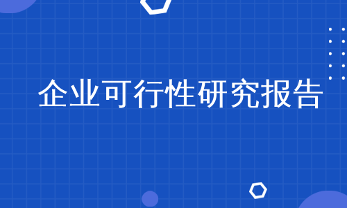 企业可行性研究报告