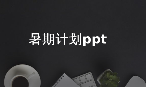 暑期计划ppt