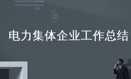 电力集体企业工作总结