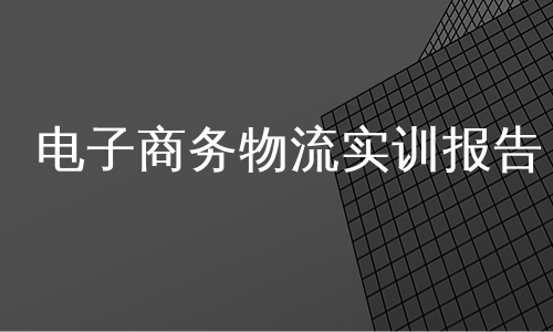 电子商务物流实训报告