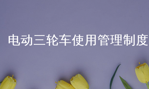 电动三轮车使用管理制度