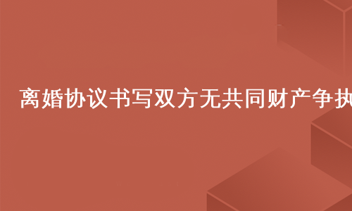 离婚协议书写双方无共同财产争执