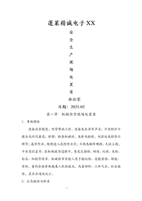 安全生产现场处置方案