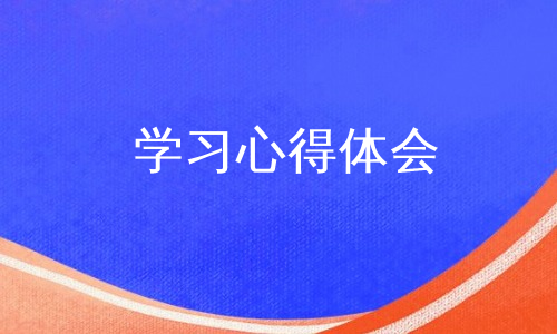 学习心得体会