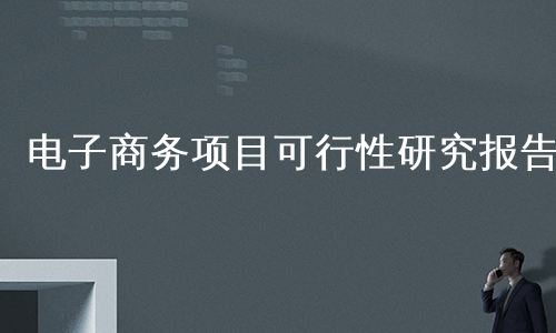 电子商务项目可行性研究报告