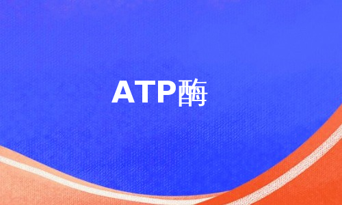 ATP酶