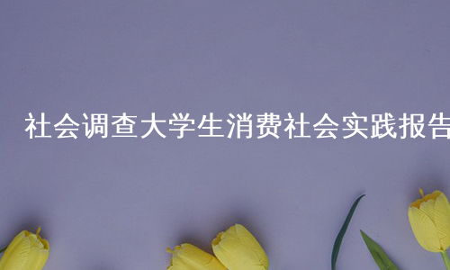 社会调查大学生消费社会实践报告