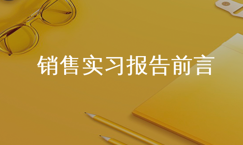 销售实习报告前言