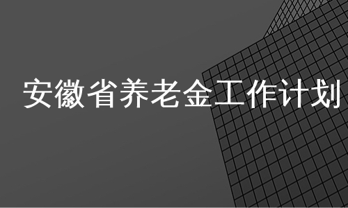 安徽省养老金工作计划