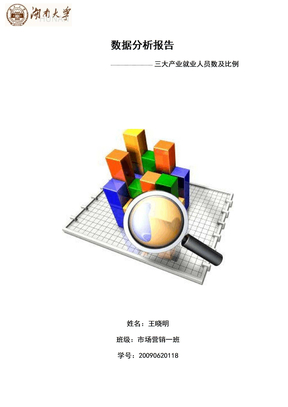 数据分析报告