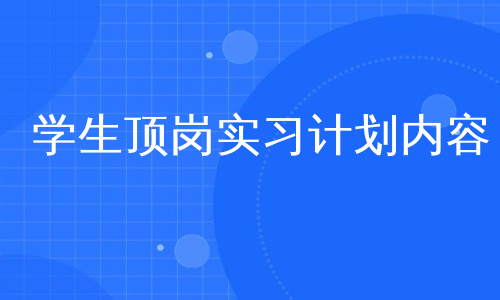 学生顶岗实习计划内容