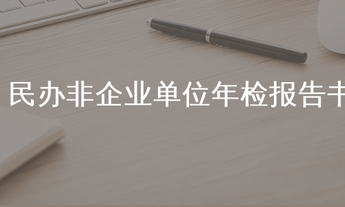 民办非企业单位年检报告书